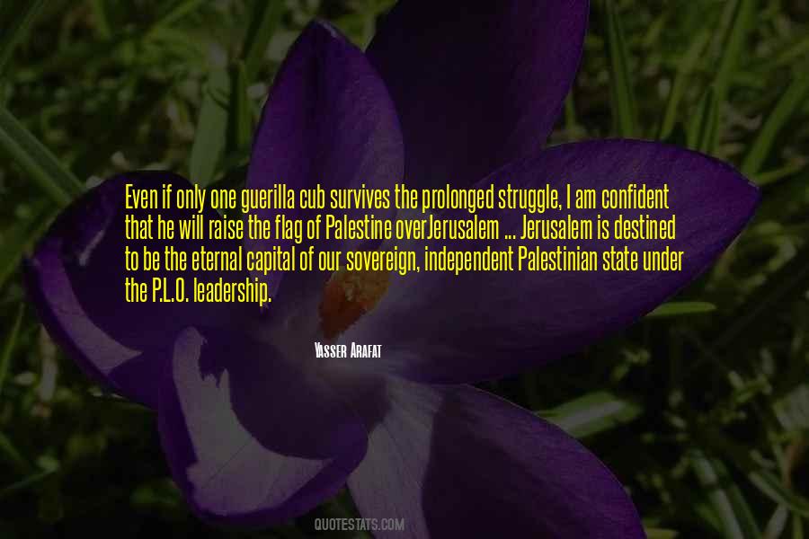 Quotes About Palestine Struggle #60310