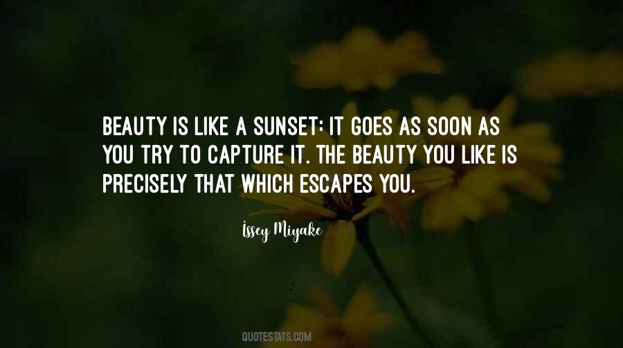 Capture Beauty Quotes #1293682