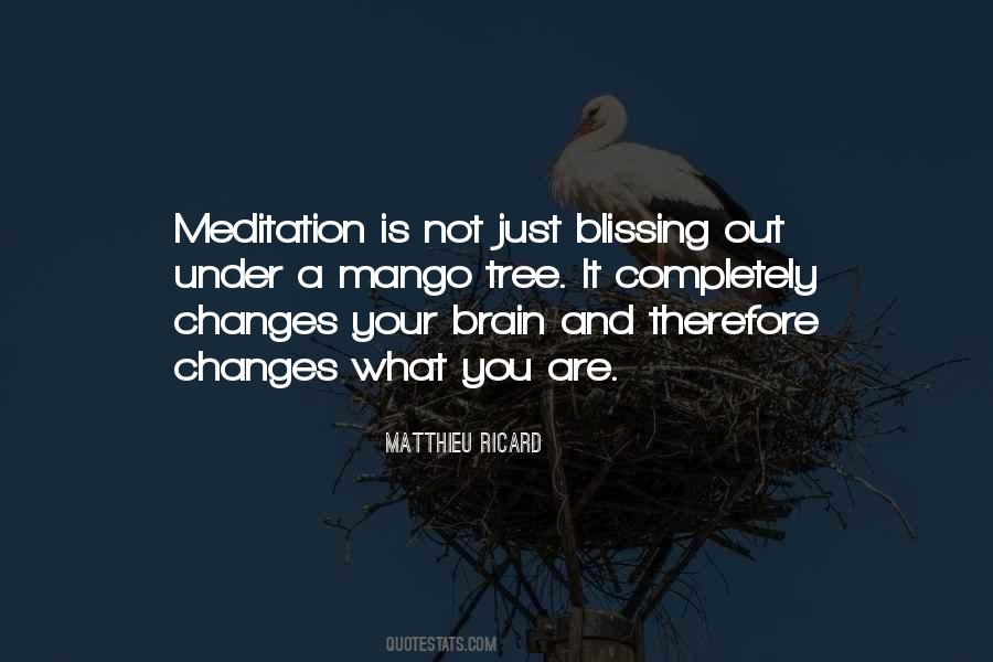 Quotes About Buddhist Meditation #1339977