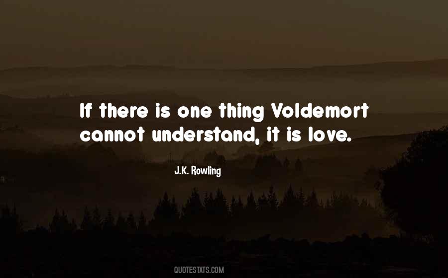 Quotes About Harry Potter And Voldemort #858442