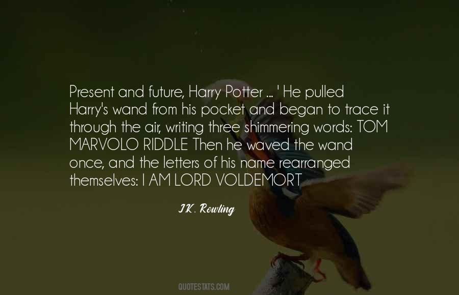 Quotes About Harry Potter And Voldemort #953944