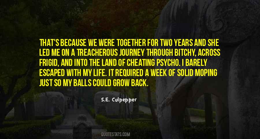 Quotes About Journey Through Life #1245487