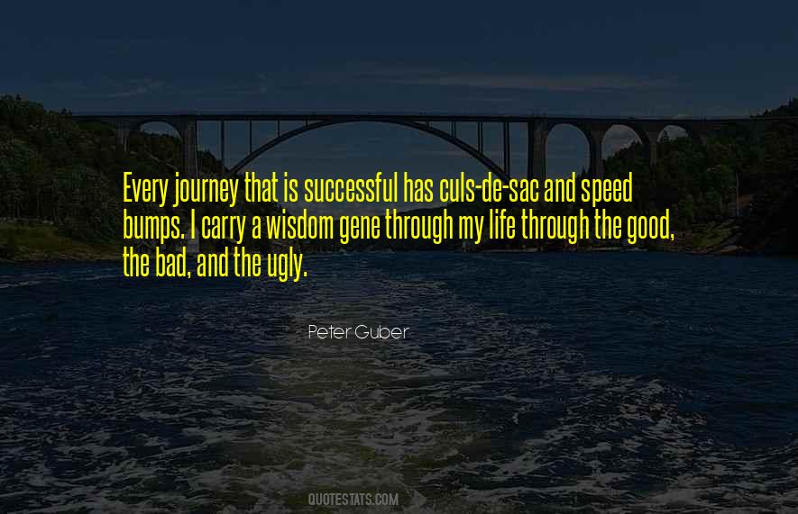 Quotes About Journey Through Life #848093
