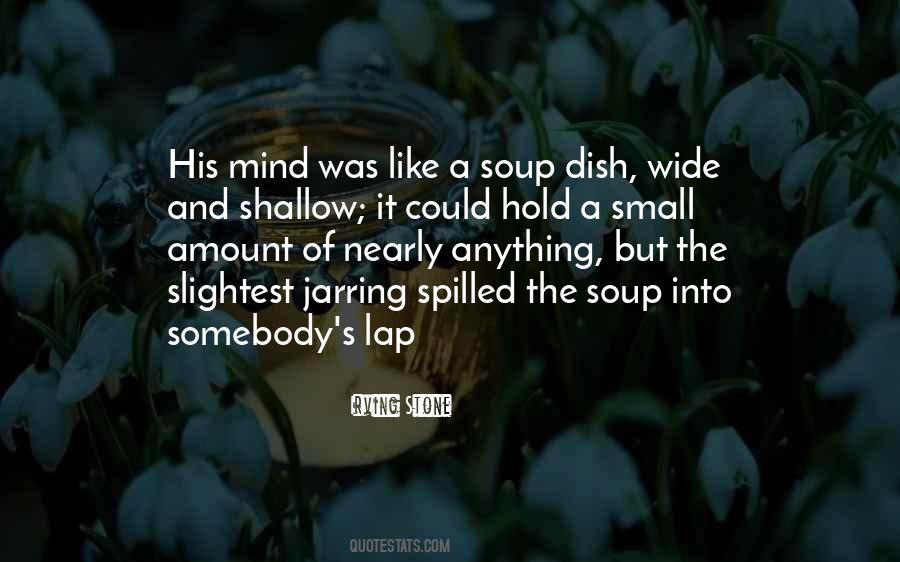 Shallow Mind Quotes #296925