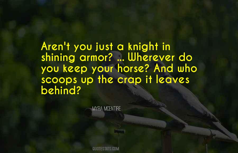 Quotes About A Knight In Shining Armor #1112889