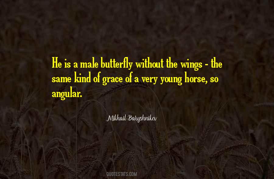Quotes About Butterfly Wings #1423649