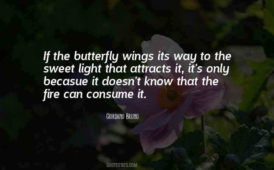 Quotes About Butterfly Wings #351228