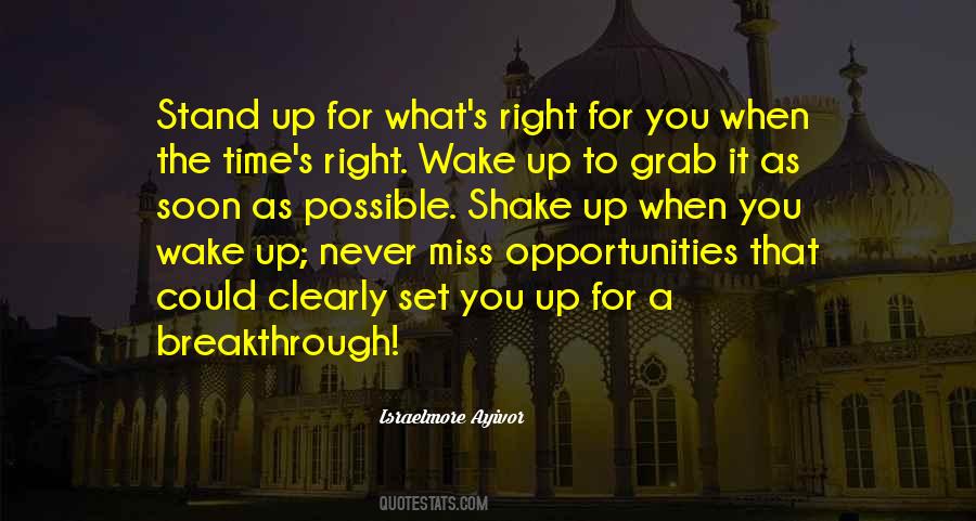 Quotes About Never The Right Time #98259