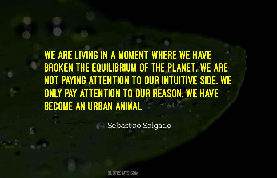Animal Activism Quotes #1326976