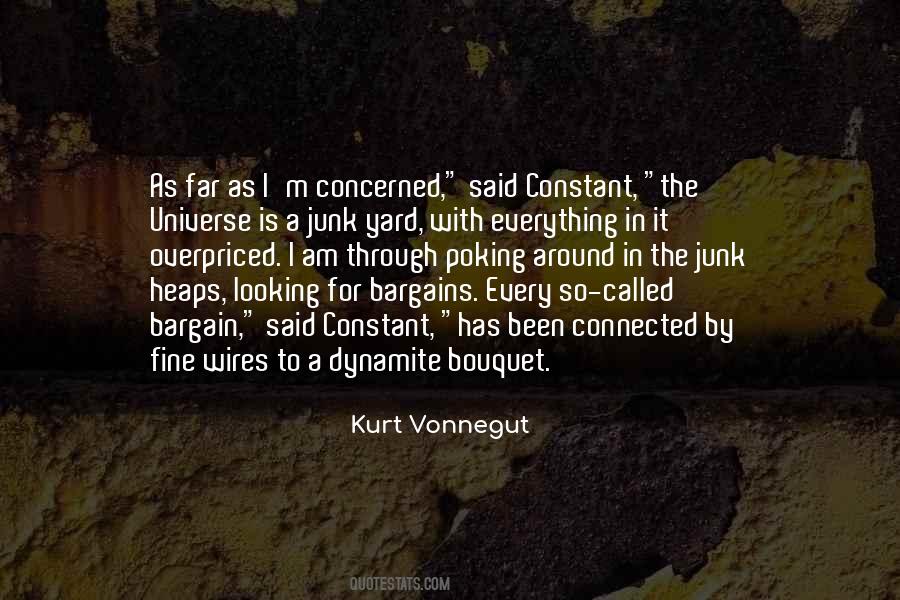 Connected With The Universe Quotes #982042