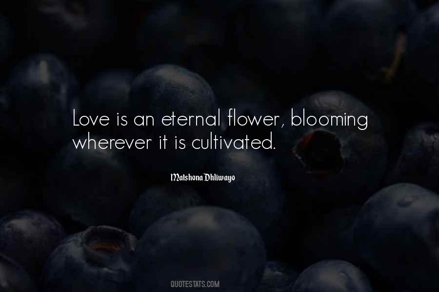 Quotes About Blooming Love #1414756