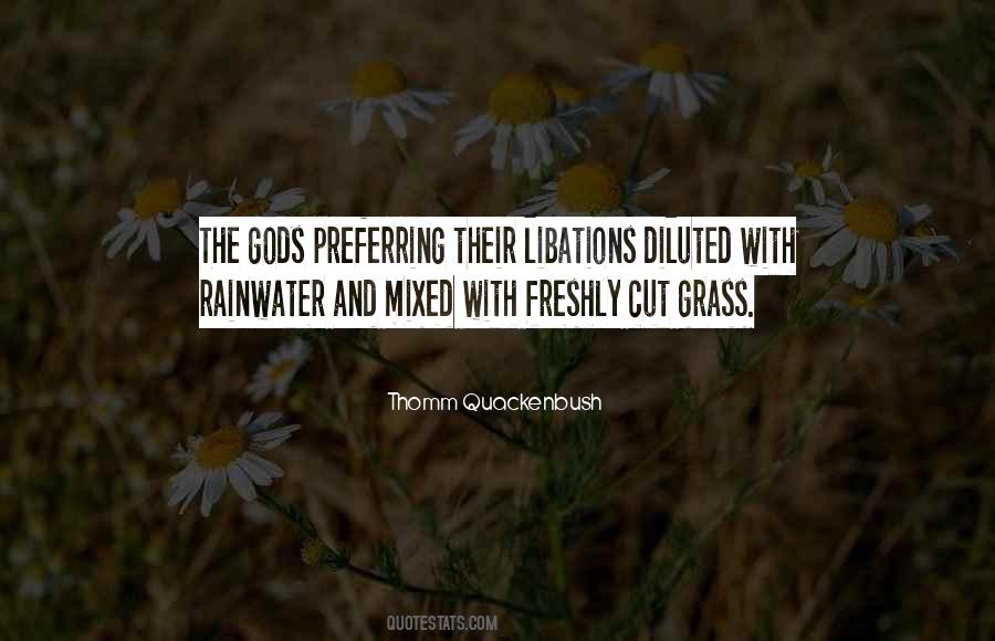 Town Motto Quotes #860462