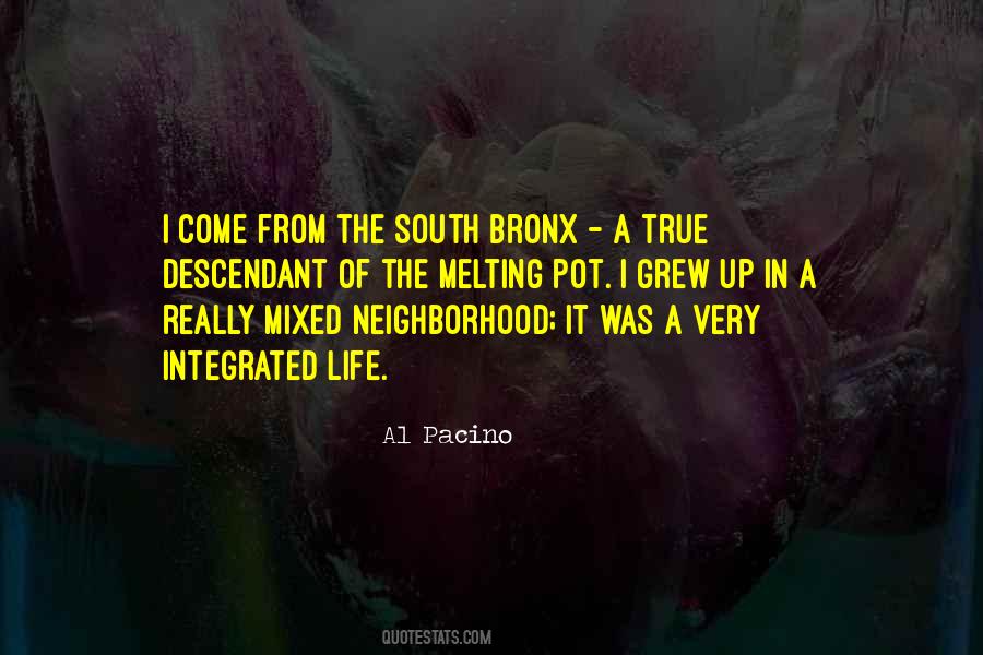South Bronx Quotes #409237