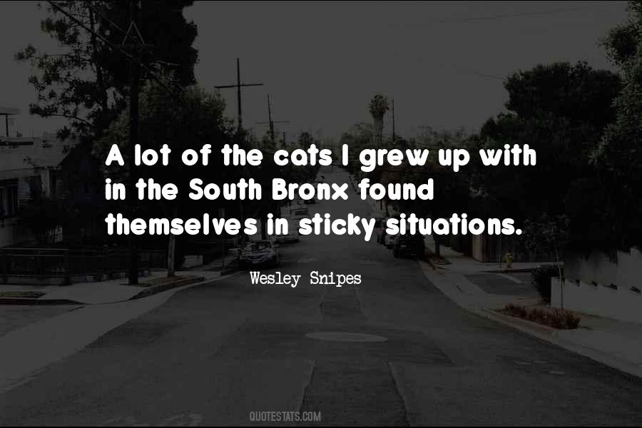 South Bronx Quotes #701270