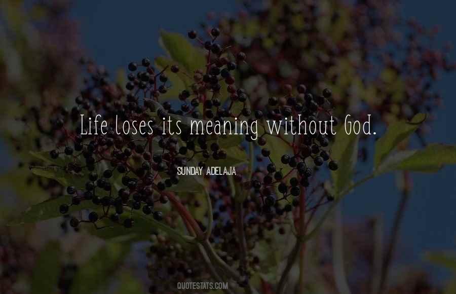 Quotes About Life Without Meaning #802703