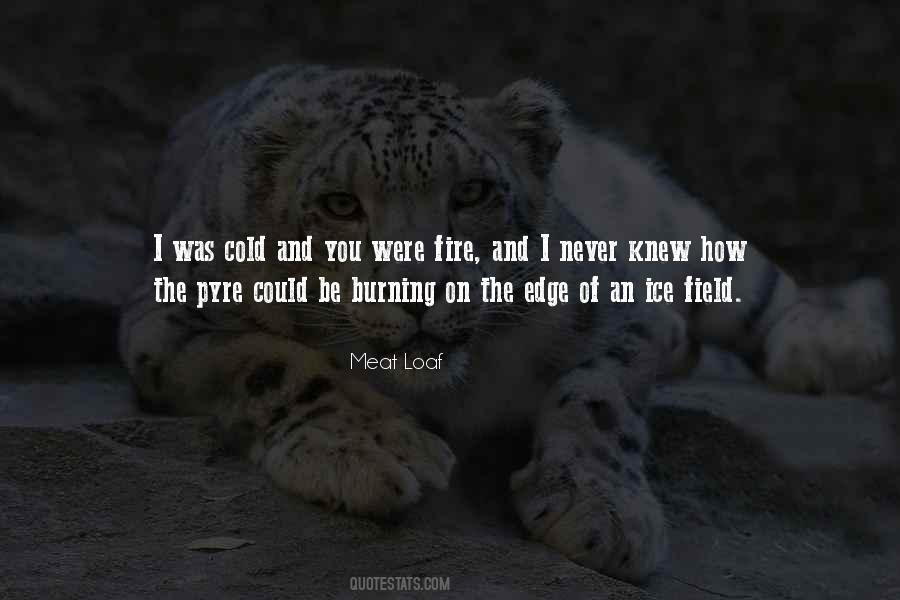 Quotes About Fire And Ice #1316258