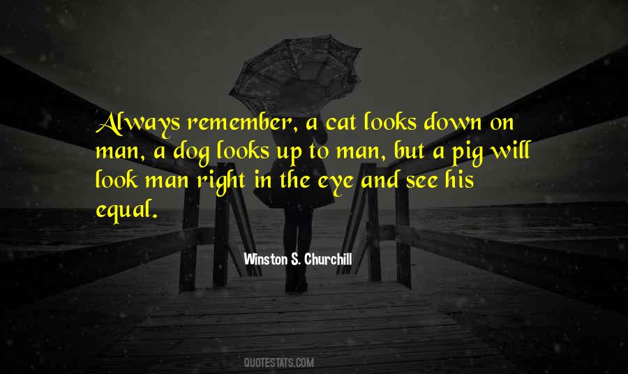 Look In His Eye Quotes #1621097