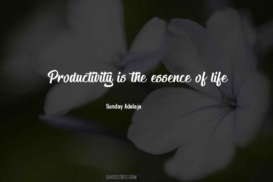 Quotes About Productive Work #1064497