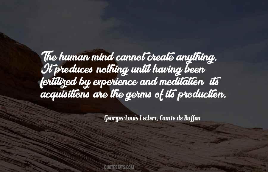 Meditation Experience Quotes #331088