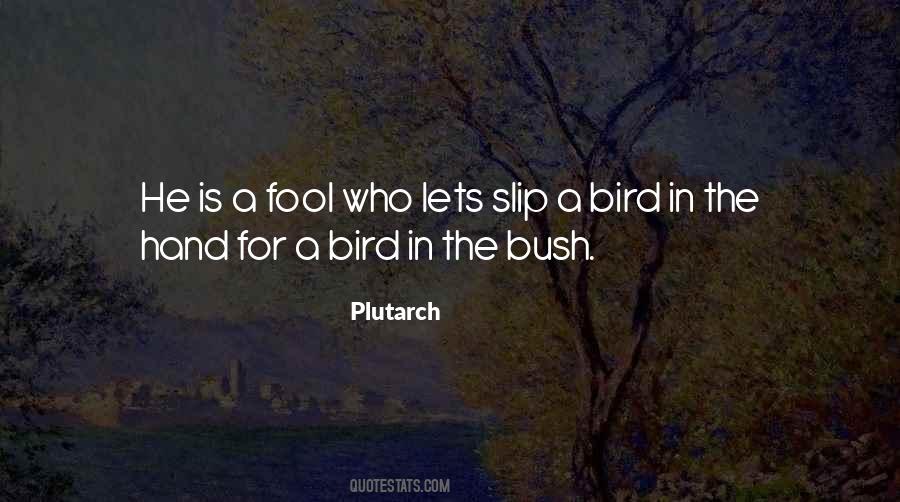 Quotes About The Bush #1086141