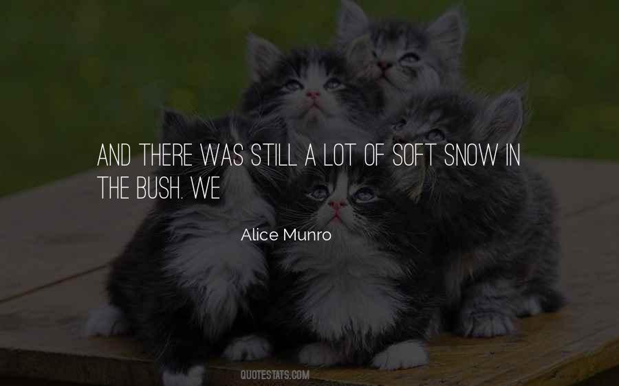 Quotes About The Bush #1368627