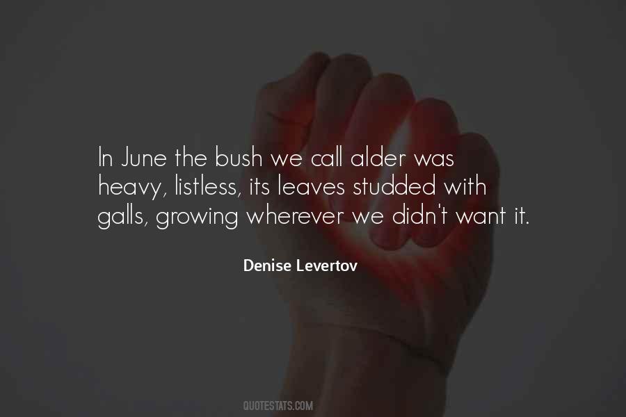 Quotes About The Bush #1383141