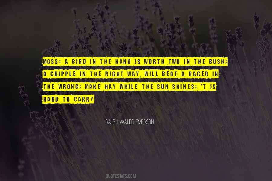 Quotes About The Bush #993214