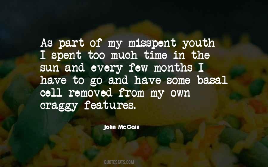 Quotes About Misspent Youth #367746