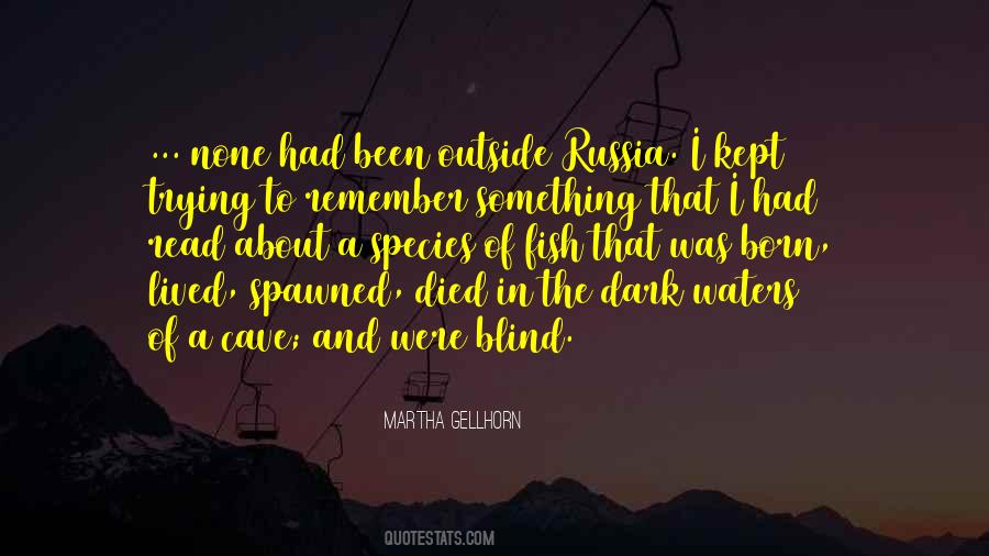 Gellhorn Quotes #1115592