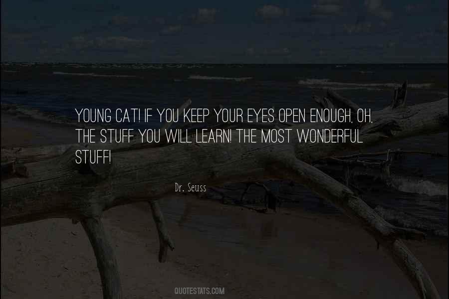 Keep Your Eyes Open Quotes #805248