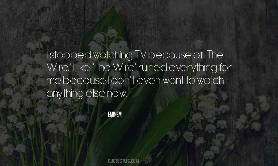 Quotes About Watching Tv #304699