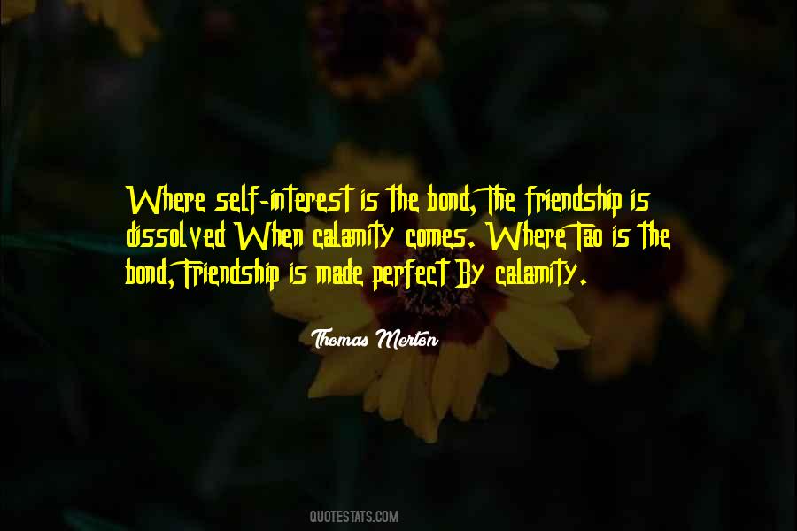 Perfect Friendship Quotes #600489