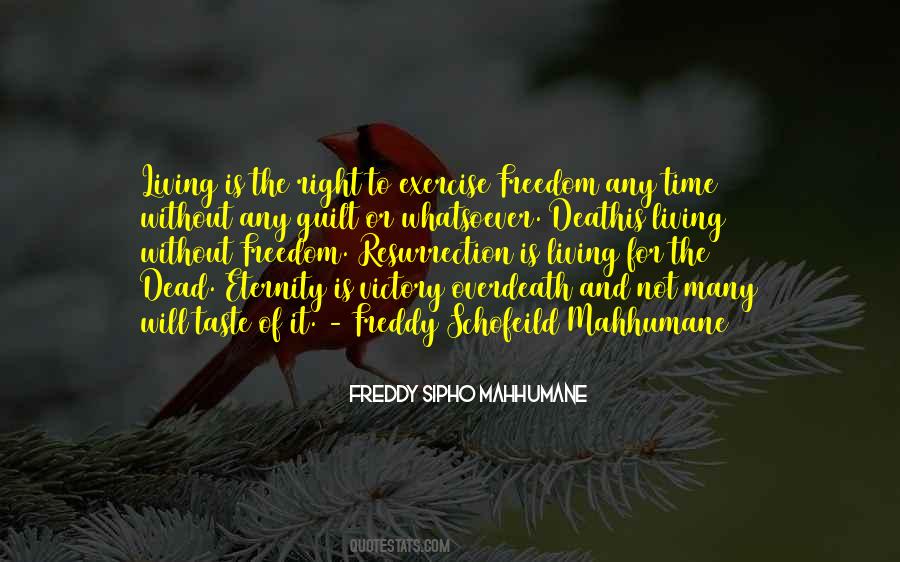 Quotes About Life Without Freedom #1841314