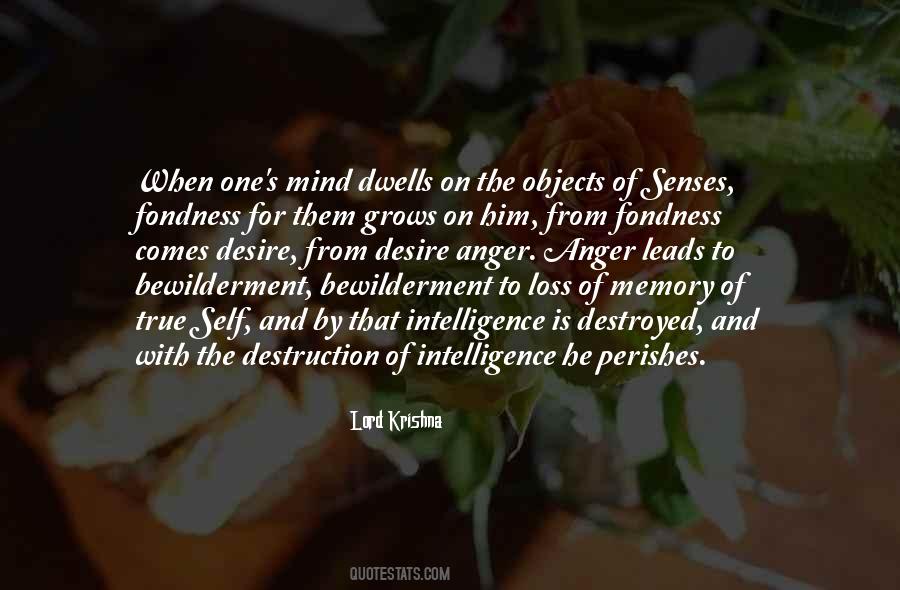 Quotes About Memory And Loss #1372051