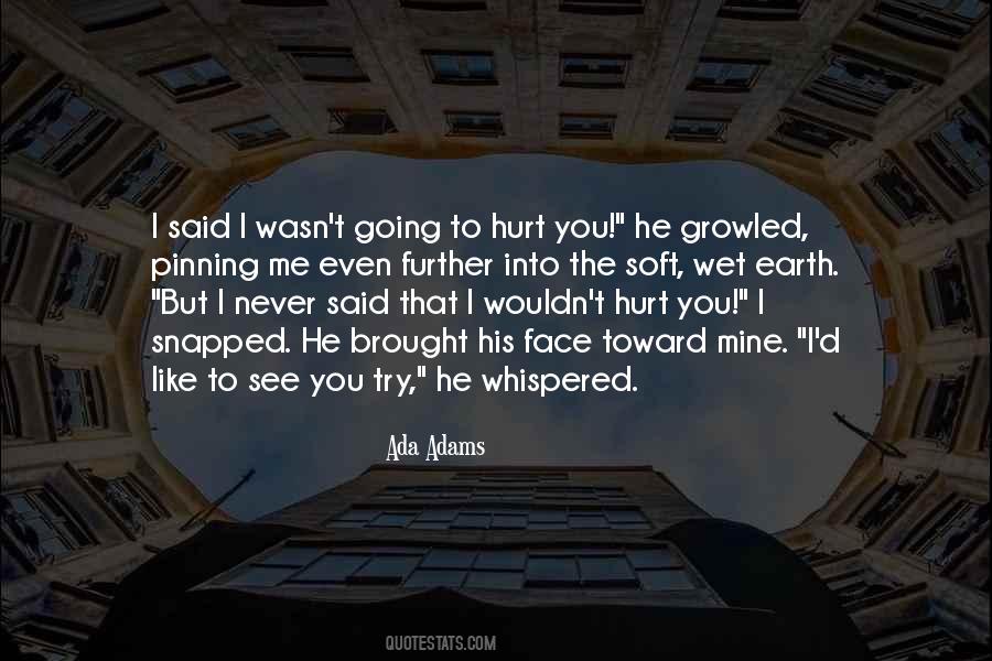 Quotes About Never Hurt Me #903252