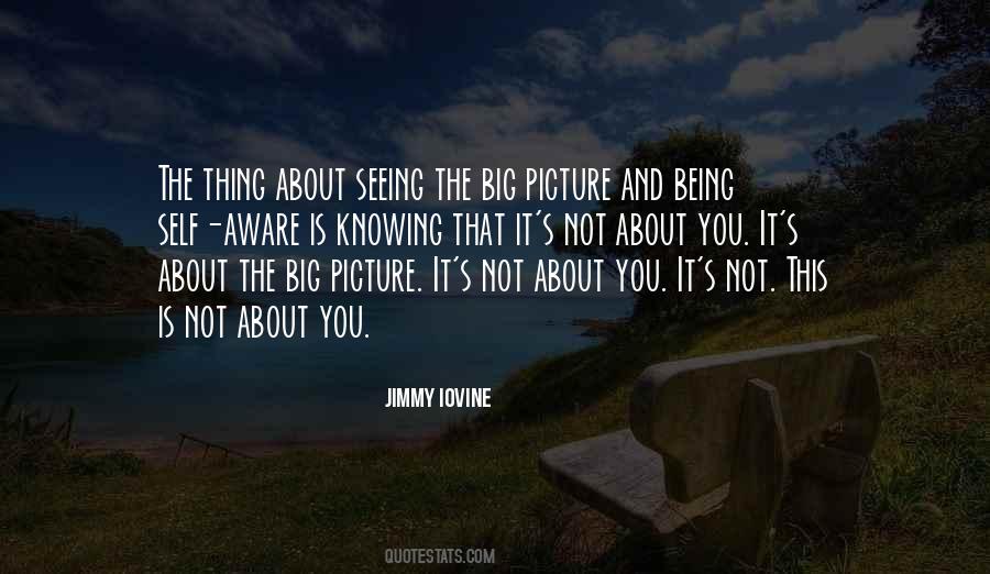 Big Picture Quotes #1426176