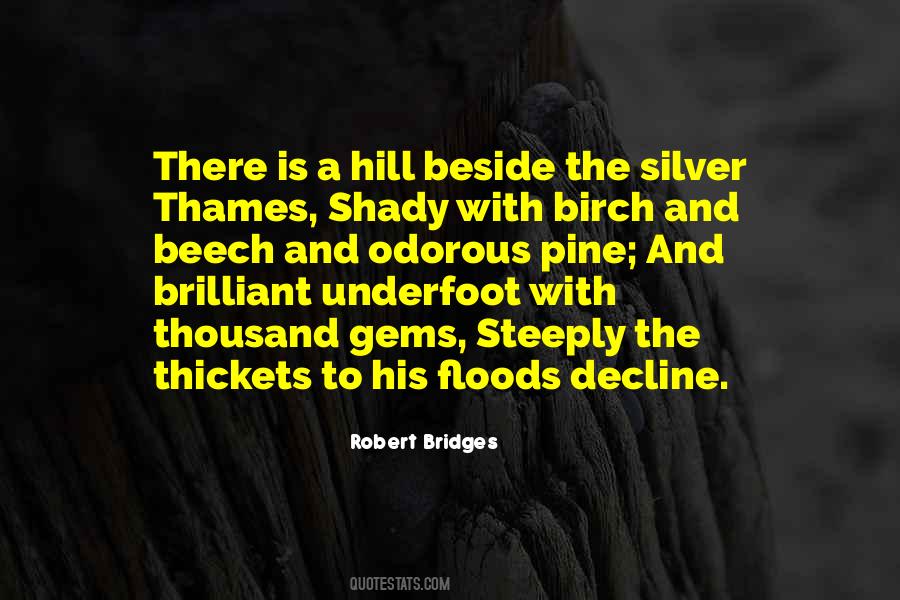 Quotes About Floods #987854