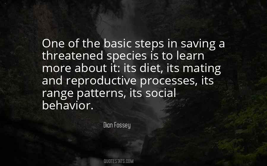 Quotes About Behavior Patterns #1640193