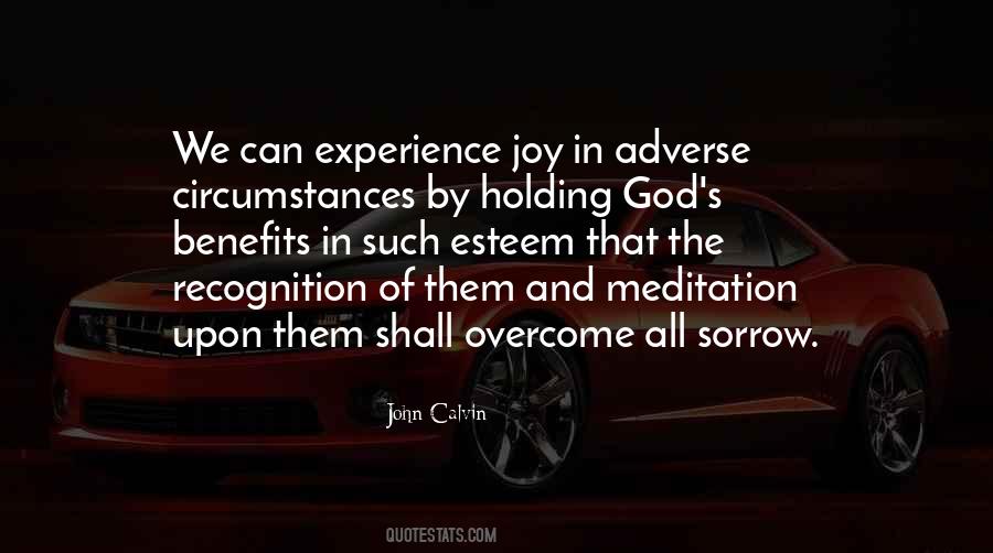 Quotes About Sorrow And Joy #113124