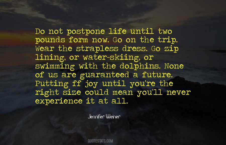 Quotes About Swimming With Dolphins #1648286