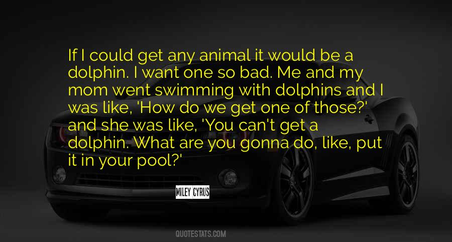 Quotes About Swimming With Dolphins #633092