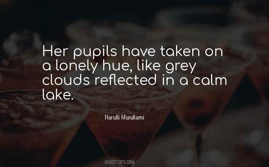 Quotes About Pupils #370723