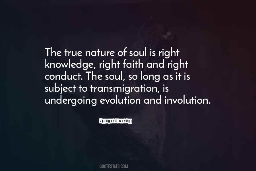 Nature And The Soul Quotes #148923