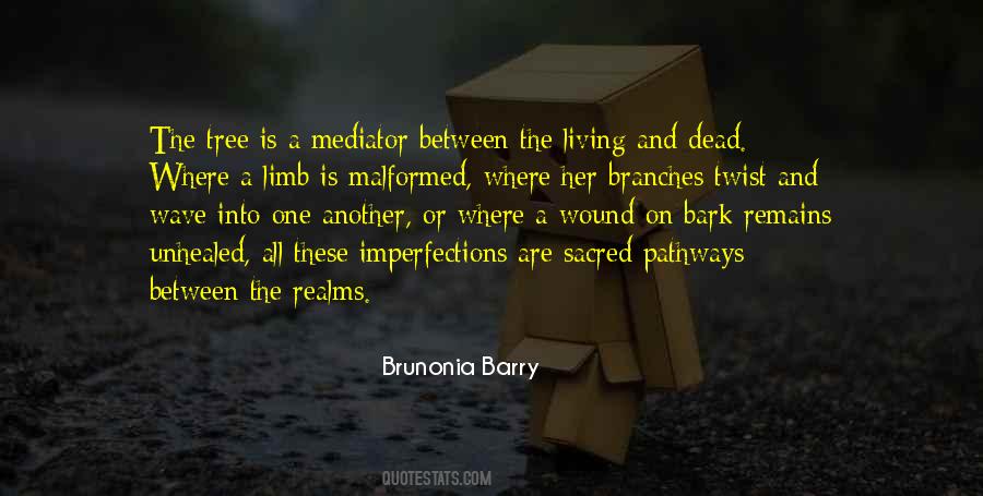 Nature And The Soul Quotes #362028