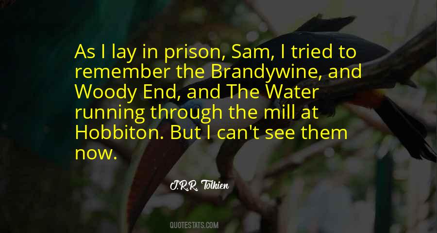 Lord Of The Rings Sam Gamgee Quotes #55058