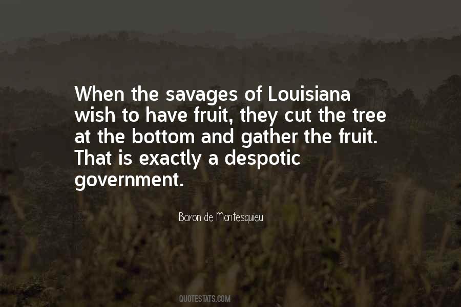 Despotic Government Quotes #1597708