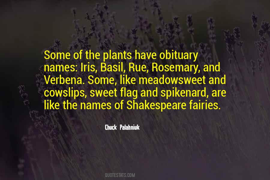 Rosemary And Rue Quotes #1416152