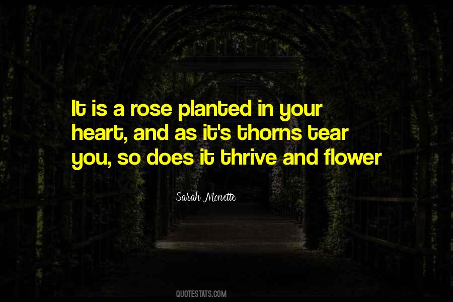 Quotes About A Rose Flower #1305621