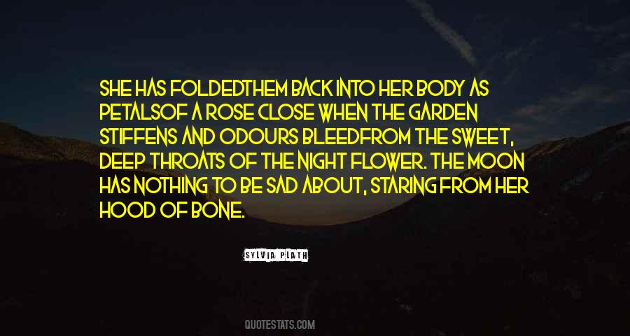 Quotes About A Rose Flower #1492805