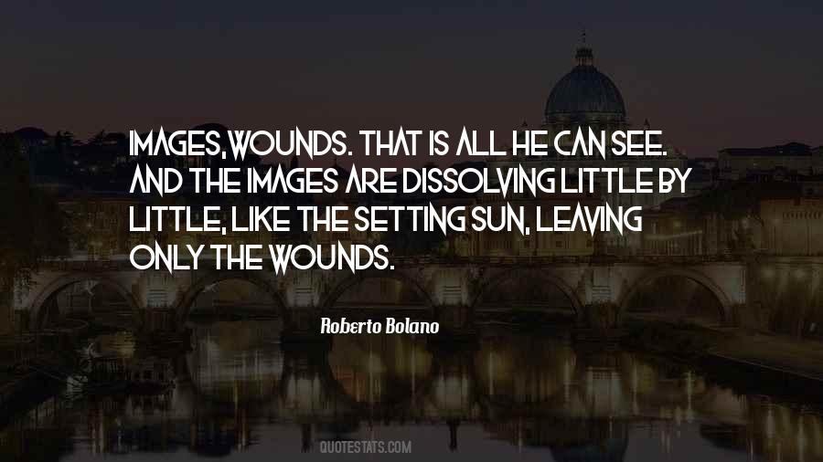 Quotes About The Setting Sun #1166285